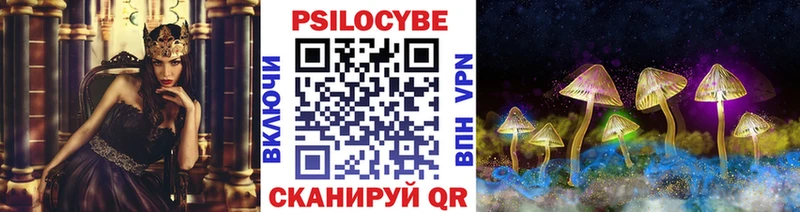 где купить наркоту  Багратионовск  Псилоцибиновые грибы мухоморы 